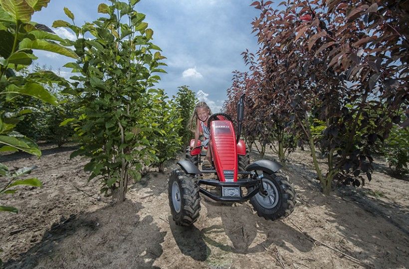 Веломобиль Berg Case-IH BFR
